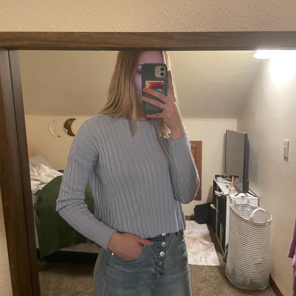 Light blue wild fable sweater